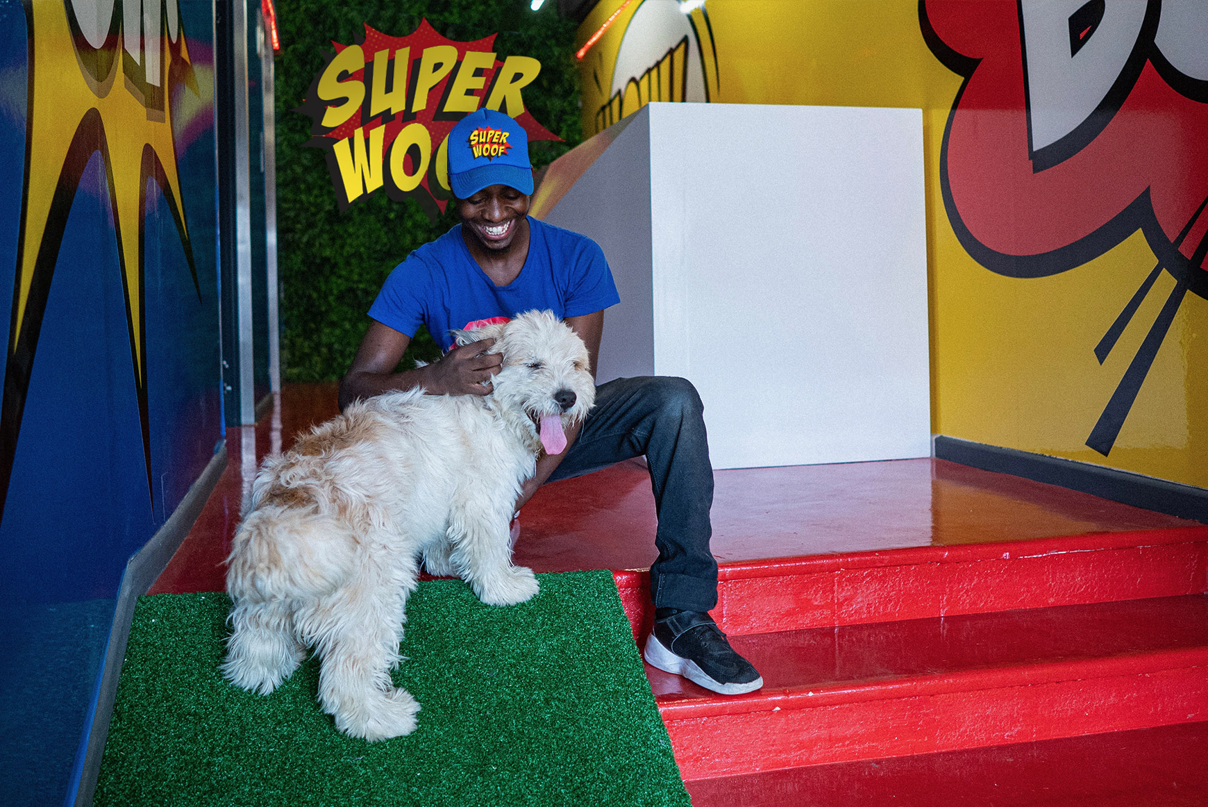 24 Hour ‘Super Human’  Supervision from a highly experienced team at SUPERWOOF