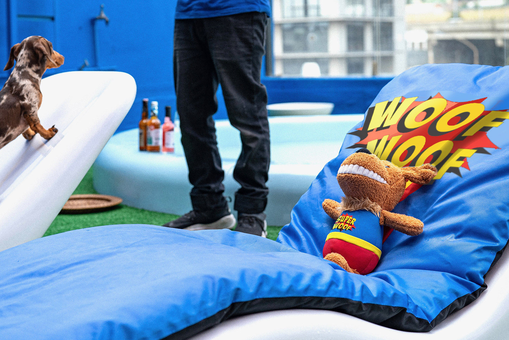 24 Hour ‘Super Human’  Supervision from a highly experienced team at SUPERWOOF